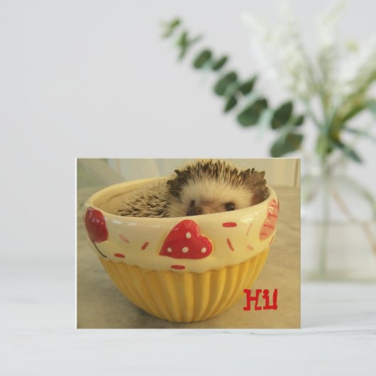 Hoi! Briefkaart (Staand voorkant)