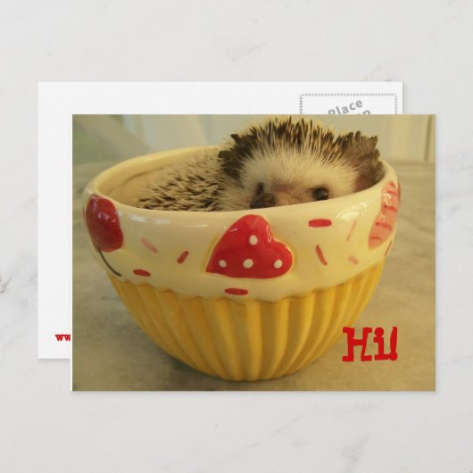 Hoi! Briefkaart (Voorkant / Achterkant)