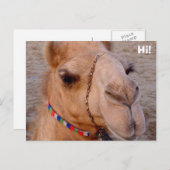 Hoi! Briefkaart (Voorkant / Achterkant)