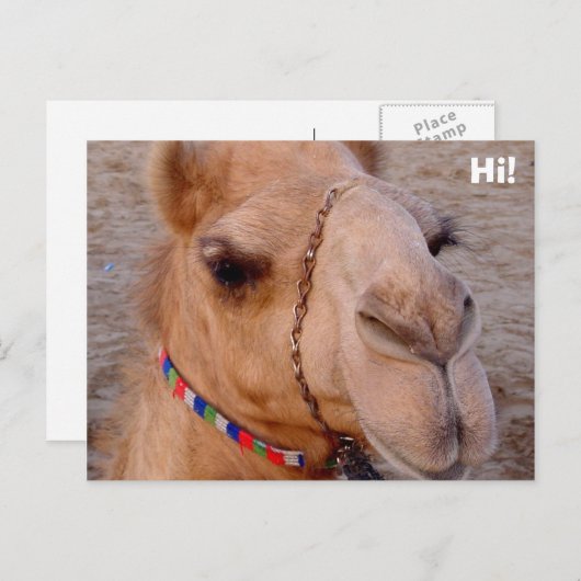 Hoi! Briefkaart (Voorkant / Achterkant)