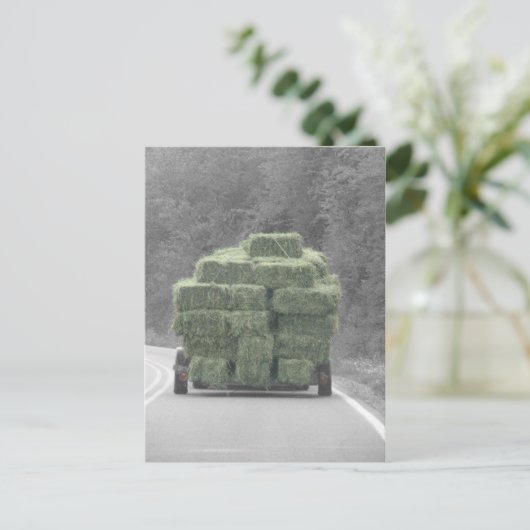 Hoi daar! briefkaart (Staand voorkant)