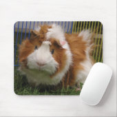 Hoi daar! (De Mousepad) Muismat (Met muis)