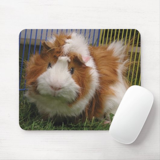 Hoi daar! (De Mousepad) Muismat (Met muis)