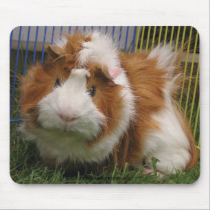 Hoi daar! (De Mousepad) Muismat