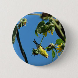 Hoi daar. Goldfinch Ronde Button 5,7 Cm