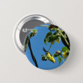 Hoi daar. Goldfinch Ronde Button 5,7 Cm (Voorkant /achterkant)