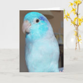 Hoi daar! Wenskaart van Pacifische Parrotlet Kaart (Gele Bloem)