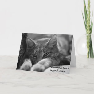 Hoi! Deze kat gaat een Happy Birthday wensen! Kaart
