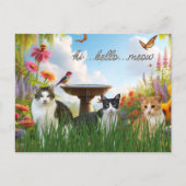 Hoi Hallo Meow / Katten in het Tuindier Briefkaart (Voorkant)