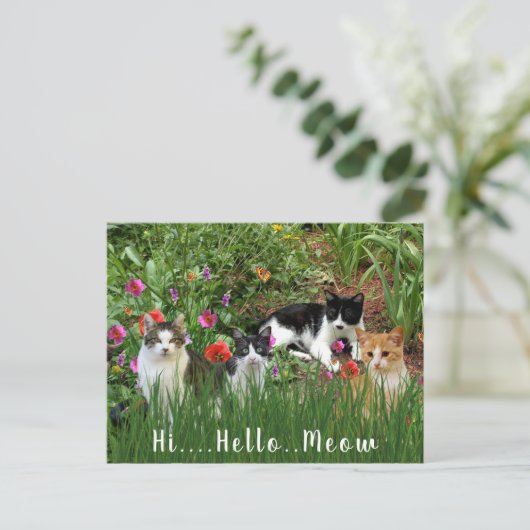 Hoi Hallo Meow / Katten in het Tuindier Briefkaart (Staand voorkant)