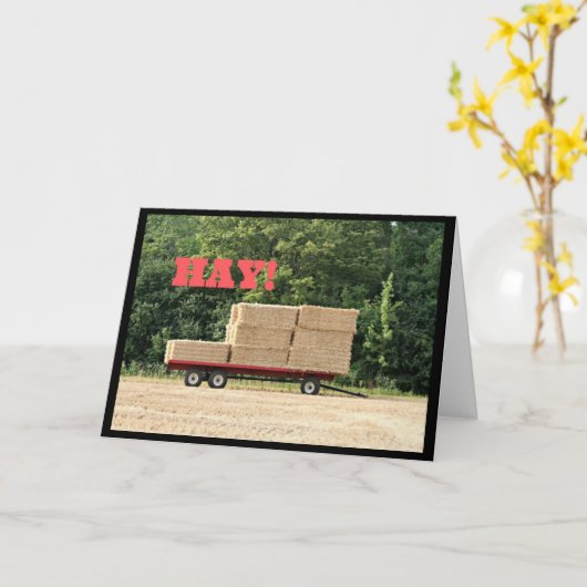 Hoi! Happy Birthday Kaart (Gele Bloem)