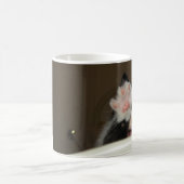 "Hoi!" kitten mok (Center)