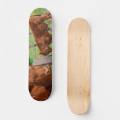 Hoi Koe!!!! Persoonlijk Skateboard (Voorkant)