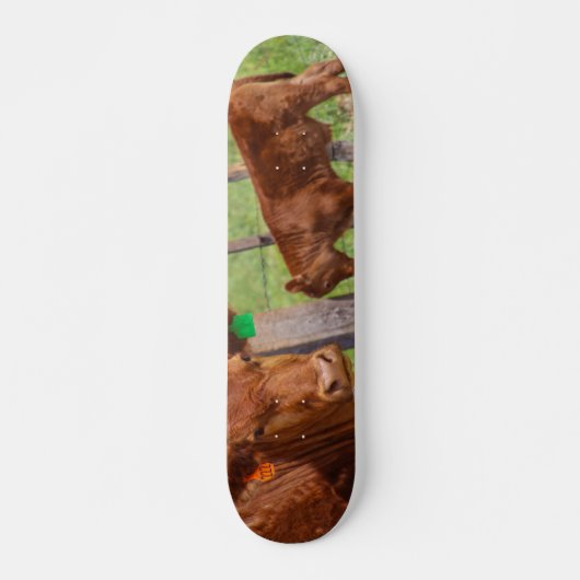 Hoi Koe!!!! Persoonlijk Skateboard (Voorkant)