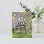 Hoi! Nieuwsgierige schildpad Briefkaart (Staand voorkant)