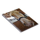 Hoi paard notitieboek (Rechterzijde)