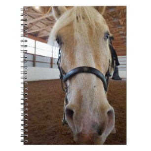 Hoi paard notitieboek