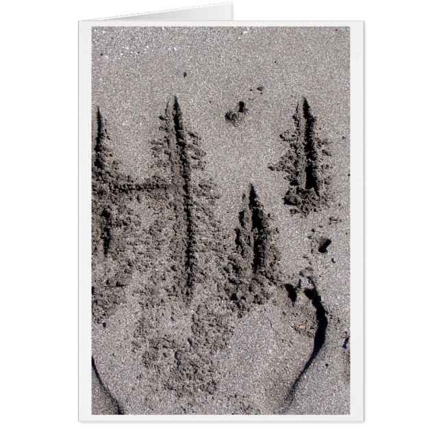 Hoi! Schriftelijk op het strand van Florida met vo (Voorkant)