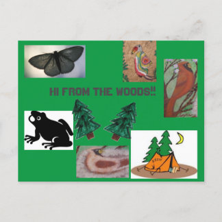 Hoi uit het kamp bossen briefkaart