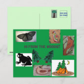 Hoi uit het kamp bossen briefkaart (Voorkant / Achterkant)