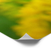 Hoi voor het publiek poster (Hoek)