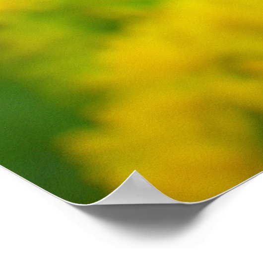 Hoi voor het publiek poster (Hoek)