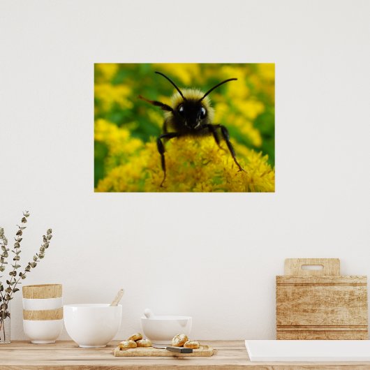 Hoi voor het publiek poster (Keuken)