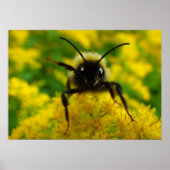 Hoi voor het publiek poster (Voorkant)