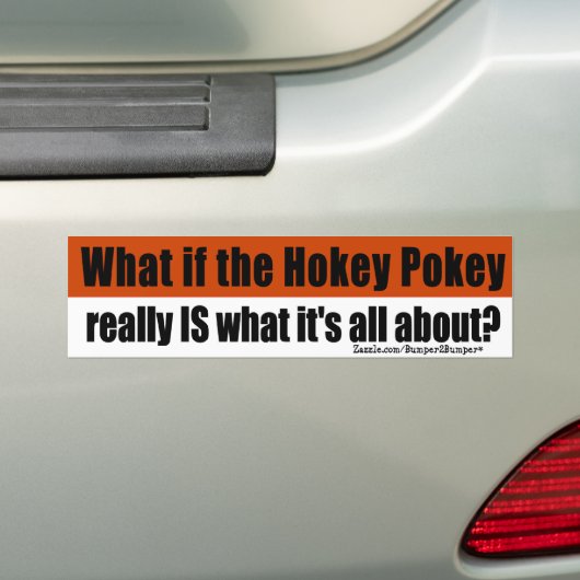 Hokey Pokey Bumpersticker (Op auto)