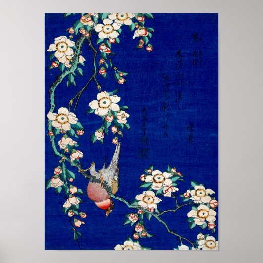 Hokusai Bullfinch over een Weping Cherry Branch Poster (Voorkant)