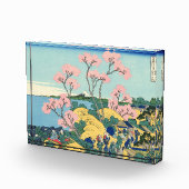 Hokusai Fuji van Gotenyama op het Hokaidō bij Shin Fotoblokken (Rechts)