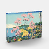 Hokusai Fuji van Gotenyama op het Hokaidō bij Shin Fotoblokken (Links)