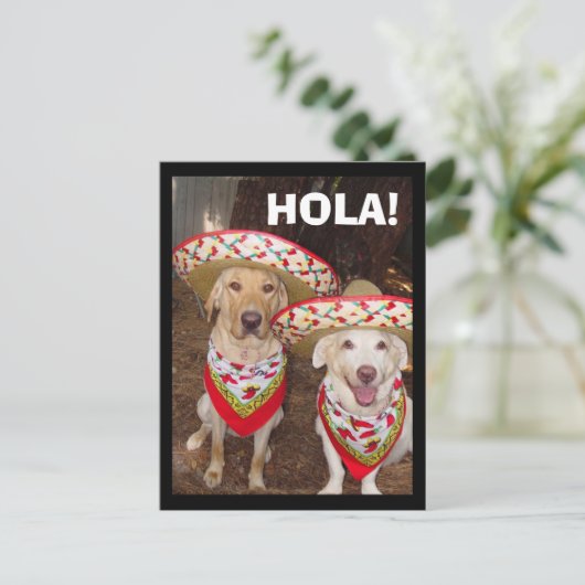 HOLA! BRIEFKAART (Staand voorkant)