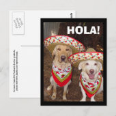 HOLA! BRIEFKAART (Voorkant / Achterkant)