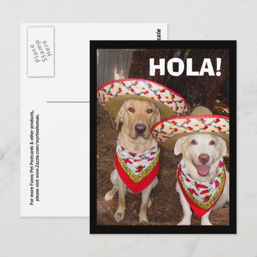 HOLA! BRIEFKAART (Voorkant / Achterkant)