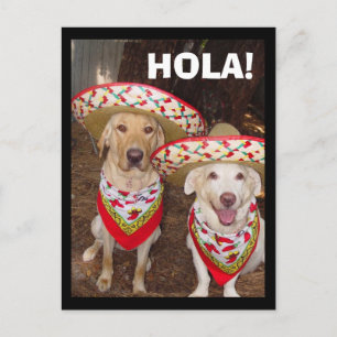 HOLA! BRIEFKAART
