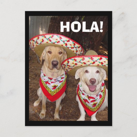 HOLA! BRIEFKAART (Voorkant)