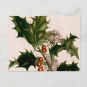 holbessen briefkaart (Voorkant)