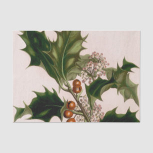 holbessen tissuepapier