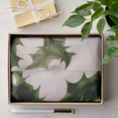 holbessen tissuepapier (Geschenk)