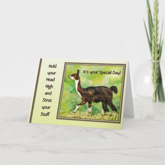 Hold Your Head High & Strut Your Stuff  Kaart (Voorkant)