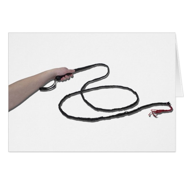 HoldingWhip103110 (Voorkant Horizontaal)