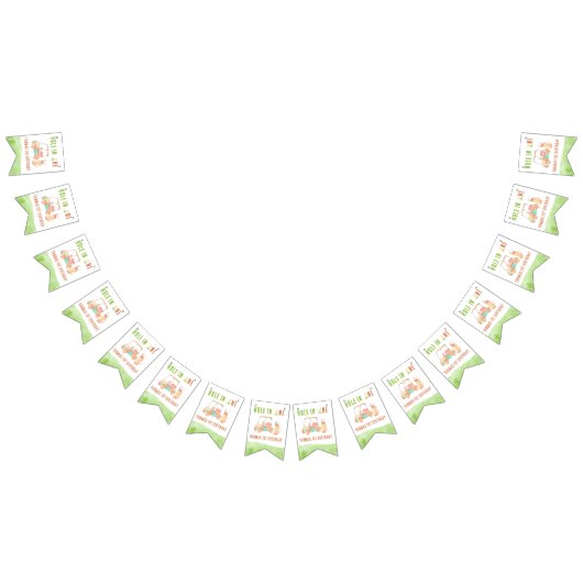 Hole In One First Birthday Party Vlaggetjes (Alle)