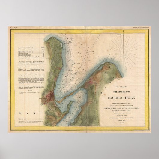  Hole Map van de wijngaard van Martha (1847) Poster (Voorkant)