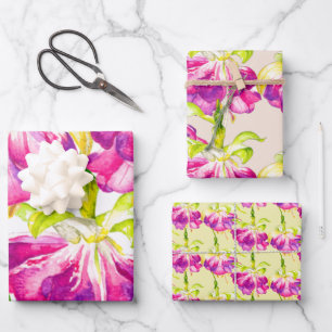 Holi op een papierset met overvulling inpakpapier vel