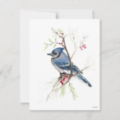 Holiday Blue Jay Art Feestdagenkaart (Voorkant)
