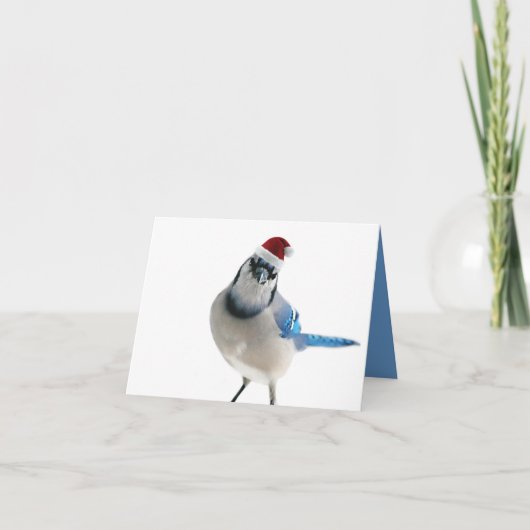 Holiday Blue Jay Feestdagen Kaart (Voorkant)
