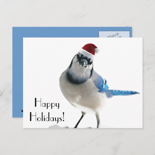 Holiday Blue Jay Feestdagenkaart (Voorkant / Achterkant)