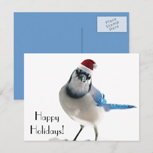 Holiday Blue Jay Feestdagenkaart (Voorkant / Achterkant)