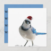 Holiday Blue Jay Kaart (Voorkant / Achterkant)